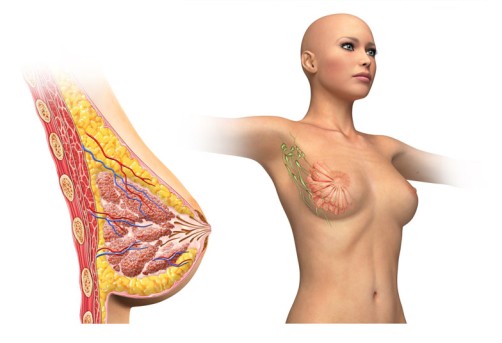 Breast Reconstruction by OrangeCountySurgeons